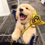izaanjr